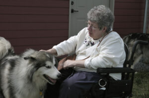 Middle aged disabled woman in a wheelchair enjoying the company of an Alaskan Malamute dog.