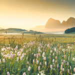 View of the Seiser Alm (Alpe di Siusi in Italian), one of the biggest alpine meadows on the Dolomites, with the Sassolungo and Sassopiatto peaks on the background.