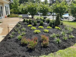 A snapshot of the green area planted for the memorial garden with the Samaritan center in the background.